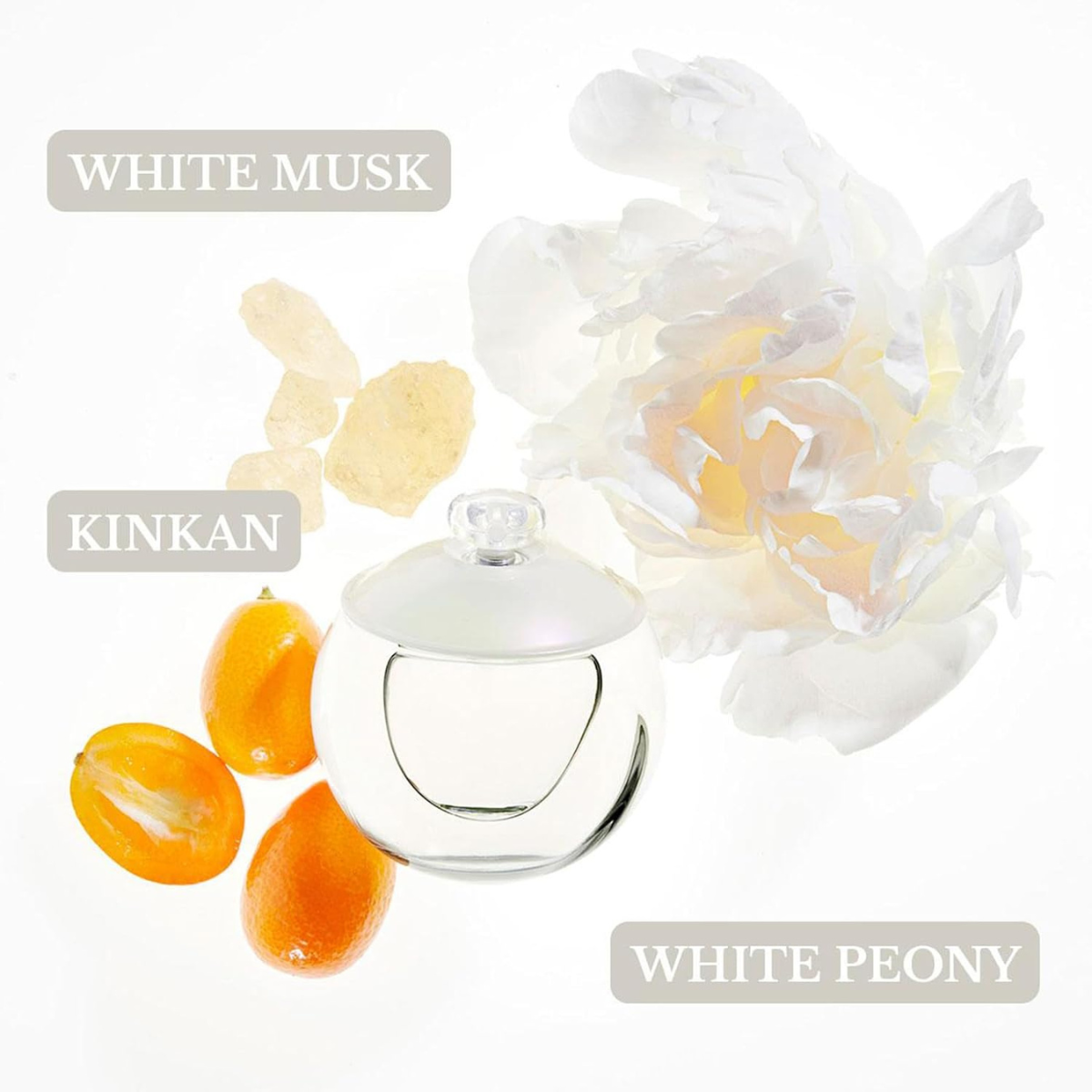 Cacharel Noa Eau De Toilette 50ml - Image 2