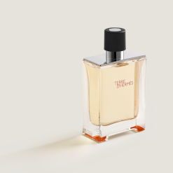 Alternative view of Terre D'Hermes Eau de toilette 100ml