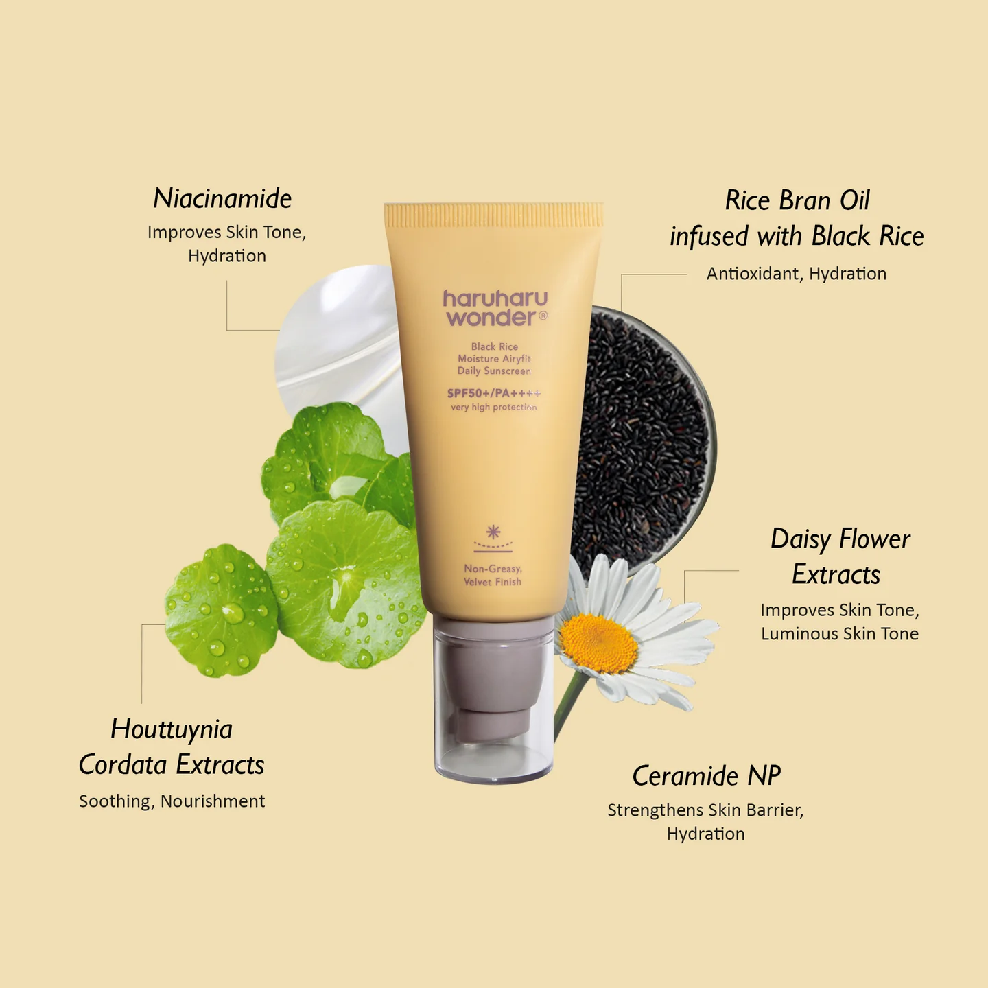 haruharu wonder Black Rice Moisture Airyfit Daily Sunscreen SPF50+/PA++++ - Image 2
