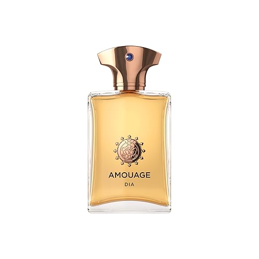 AMOUAGE DIA MAN Eau de Parfum - Image 2
